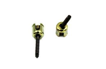 Poly Axial Screw